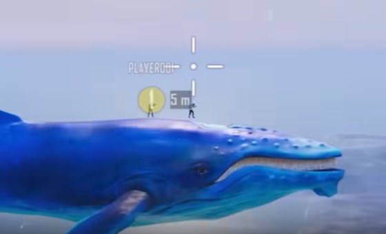 pubg-m-whale
